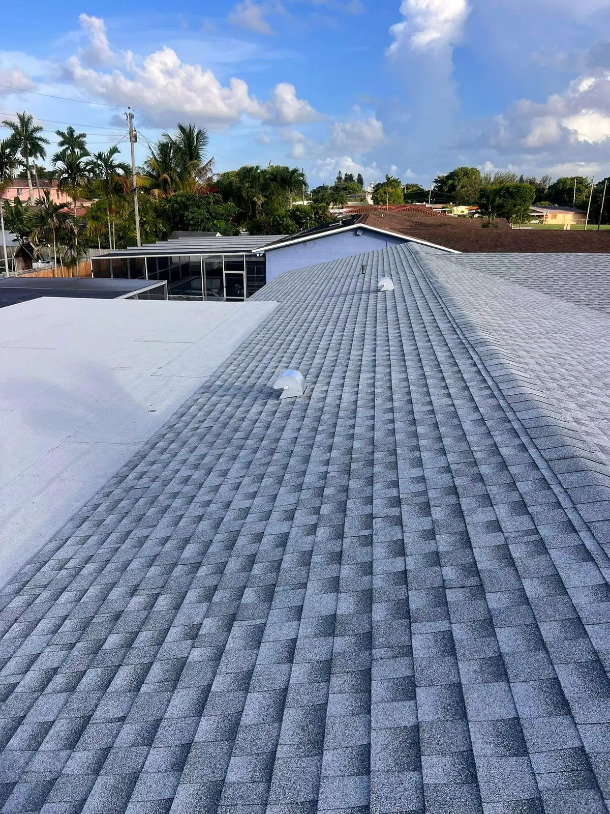 A finished shingle roof beside a flat roof section, with palm trees beyond